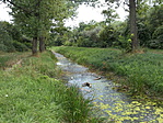 csatorna