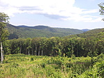 20170709_143748[1]