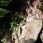 GCVIDR_20170710112543