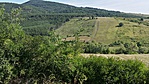 IMG_20170714_084341