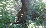 20170705_152449