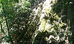 20170707_110723
