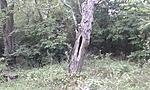 20170716_142024