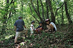 IMG_9065 kicsi