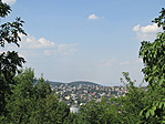 IMG_6237
