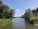 IMG_20170706_143707