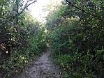 IMG_20170721_080441