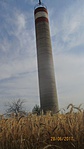0567 Tőserdő