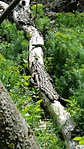 20170521_145737[1]