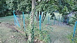 IMG_20170725_170535