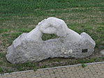 P7030505