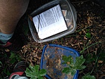 IMG_20170715_101834