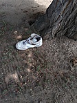 IMG_20170723_112247