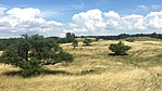 IMG_8629