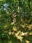 Ruin of Pakozd GCPaVa 1 pont 20170620 6