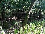 Ruin of Pakozd GCPaVa 3 pont 20170620 6