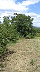 20170729_143902