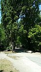 GCRMPR_2017074134421