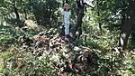 IMG_20170713_145510