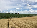 IMG_0091