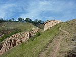 P1210011_resize