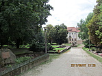 IMG_8156