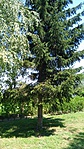 IMG_20170803_122853-734x1305