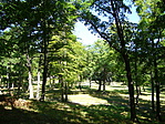 Diósjenői kastélypark