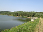 IMG_8019