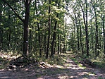 IMG_20170805_100601
