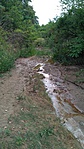 IMG_20170814_163304