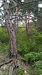 IMG_20170814_163314