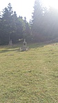 IMG_20170816_115734