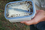 mecsek 020
