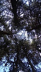 20170807_121625