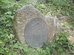 Óriás gesztenyefa 002