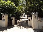 Ezeréves tölgy 001