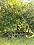 IMG_20170809_160915_360