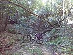 IMG_20170729_095809