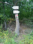 IMG_20170806_135530