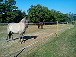 IMG_20170831_093714