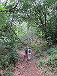 IMG_4471