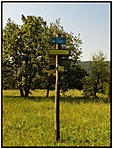 A lehetőségek