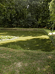 P8130096