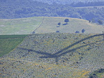 P1050437