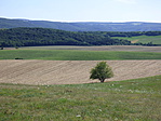 P1050431