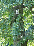 P1050408