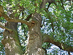 P1050415