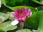 P1050390