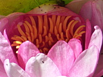 P1050393